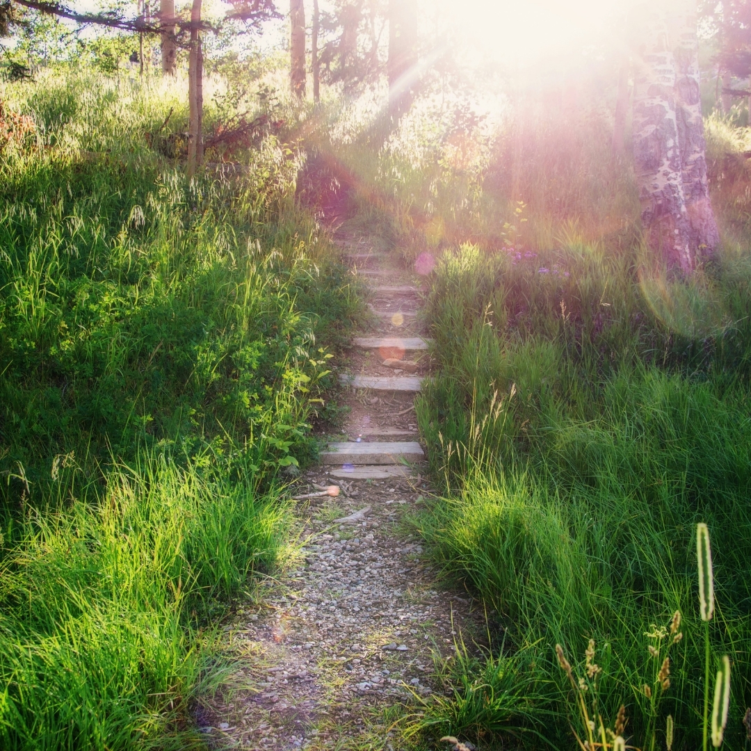 gut and Ayurvedic Counseling